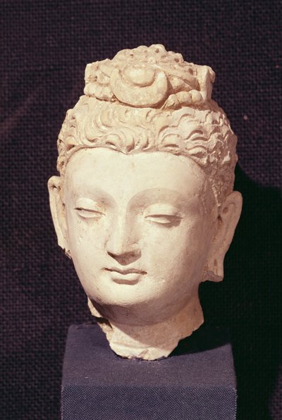 Head of a Buddha, Greco-Buddhist style, from Hadda by Afghan School