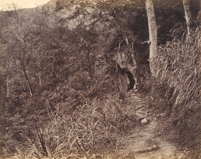 Left Road up to Yuen Foo Monastery by Afong Lai
