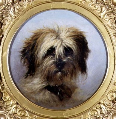 A Head of a Terrier by Agnes Dundas