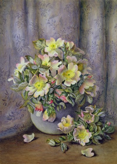 Still Life of Roses by Agnes Louise Holding