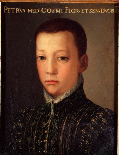Portrait of Don Pietro de Medicis, Young Man by Agnolo Bronzino
