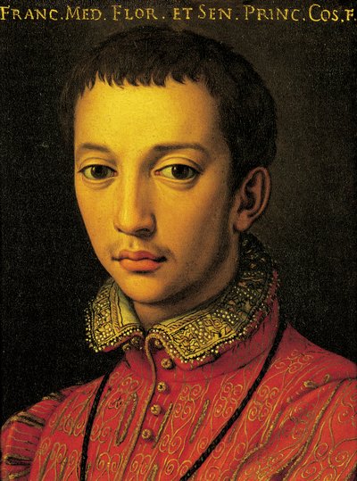 Portrait of Francesco I de Medici by Agnolo Bronzino