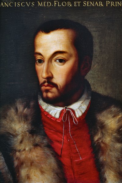 Portrait of Francesco I de Medici by Agnolo di Cosimo Bronzino