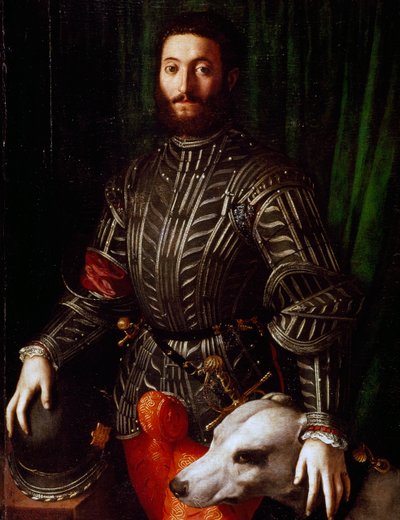 Portrait of Guidobaldo II della Rovere by Agnolo Bronzino