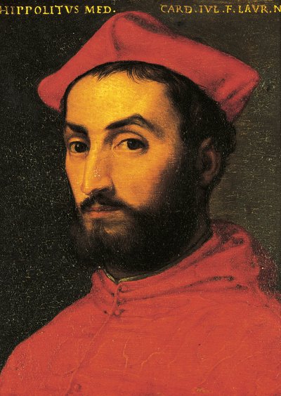 Portrait of Ippolito de Medici by Agnolo Bronzino