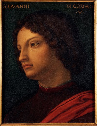 Portrait of Giovanni di Cosimo de Medici (1421-1463) by Agnolo Bronzino