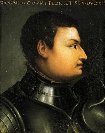 Portrait of Lodovico de Medici also known as Giovanni dalle Bande Nere by Agnolo Bronzino