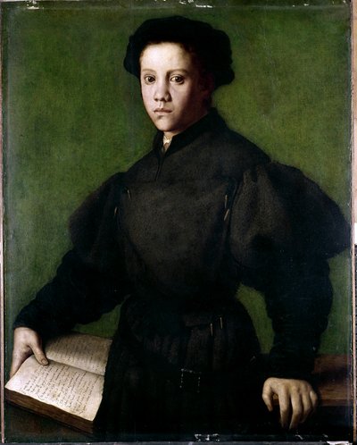 Portrait of a Young Boy by Agnolo di Cosimo Bronzino