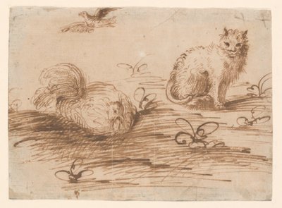 A Cat and a Setting Hen by Agostino Carracci