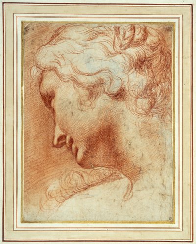 Head of a young woman looking down over her right shoulder by Agostino Carracci