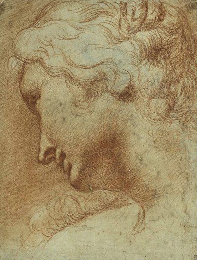 Head of a Young Woman Looking Down Over Her Right Shoulder by Agostino Carracci