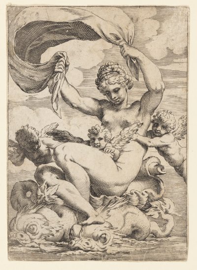 Venus (or Galatea) and Cupids Supported by Dolphins by Agostino Carracci