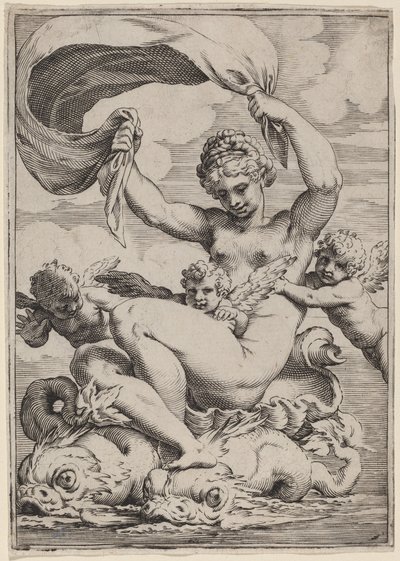 Venus or Galatea Supported by Dolphins by Agostino Carracci