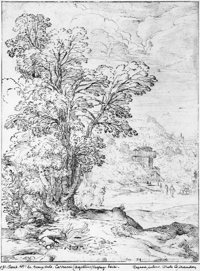 Wooded Landscape by Agostino Carracci