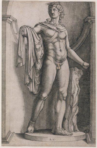 Speculum Romanae Magnificentiae: Apollo Belvedere, ca. 1514-36 by Agostino Veneziano