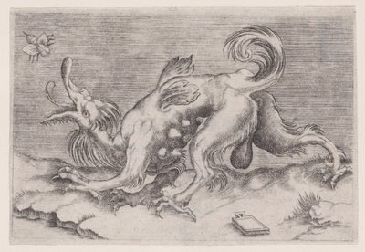 The Dragon and the Bee by Agostino Veneziano