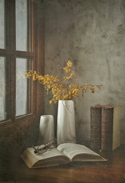 Open Book Window Light by Ahmed Alghiriani