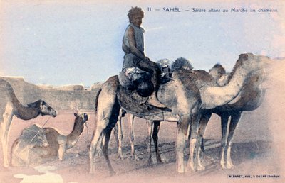 Serere, the Sahel, Senegal by Albaret