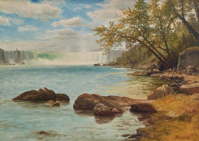 Niagara Falls with Terrapin Tower by Albert Bierstadt