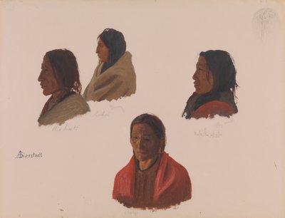 Studies of Indian Chiefs Made at Fort Laramie, ca. 1859 by Albert Bierstadt