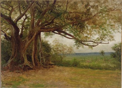 Study for 