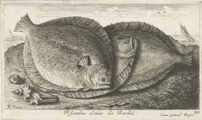 Three Gurnards on the Beach by Albert Flamen