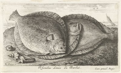 Three Girls on the Beach (Fish and Other Sea Creatures - Saltwater Third Series) by Albert Flamen