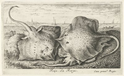 Three Rays on the Beach by Albert Flamen