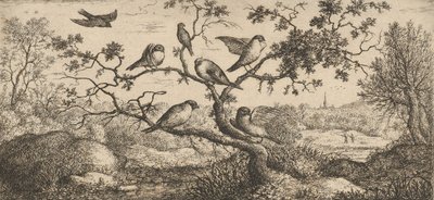 The Bullfinch: Book of Birds, 1655-1660 by Albert Flamen