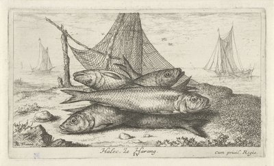 Herrings by a Fishing Net (Fish and Other Sea Creatures - Saltwater Second Series) by Albert Flamen