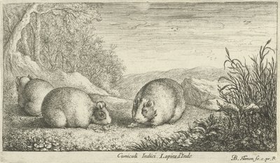 Rodents (Various Animal Species) by Albert Flamen
