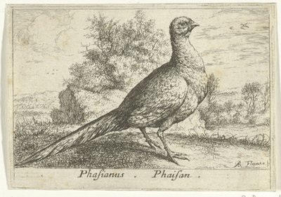 Landscape with Pheasant (title on object) (series title) by Albert Flamen