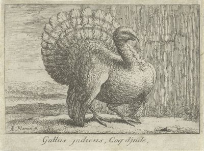 Landscape with Turkey (title on object) (series title) by Albert Flamen