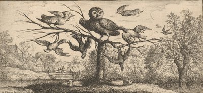 The Owl: Book of Birds by Albert Flamen