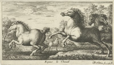 Horses (Various Animal Species) by Albert Flamen