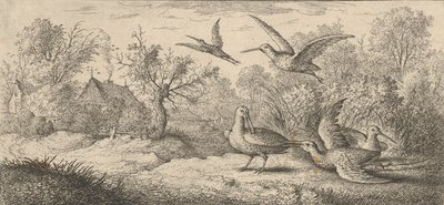 The Woodcock: Book of Birds, 1655-1660 by Albert Flamen
