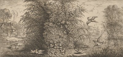 Rusticula minor, Beccassine The Snipe: Livre d