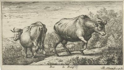 Bulls (Bos le Boeuf, Various Animal Species) by Albert Flamen