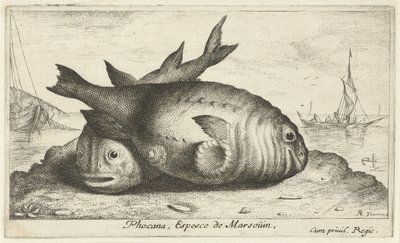 Two Porpoises on the Beach (Phocana, Espesce de Marsoüin) by Albert Flamen