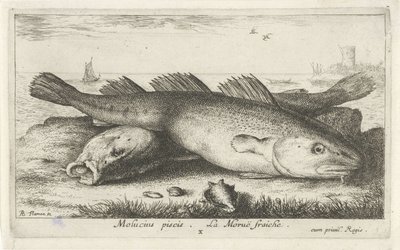 Two Codfish on the Beach by Albert Flamen