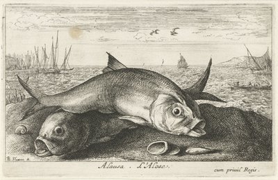 Two Shad Fish on the Beach by Albert Flamen