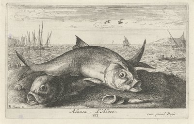 Two Shad on the Beach by Albert Flamen