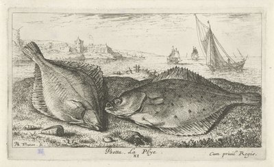Two Flatfish on the Beach (Saltwater Series) by Albert Flamen