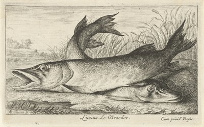 Two Pikes on a Riverbank by Albert Flamen