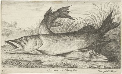 Two Pikes on a Riverbank by Albert Flamen
