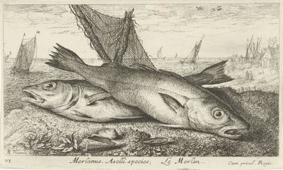 Two Whiting on the Beach by Albert Flamen