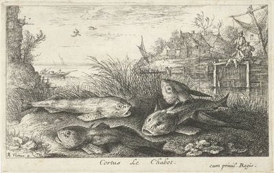 Four Chubs on a Riverbank (Fish and Other Sea Creatures - Freshwater Second Series) by Albert Flamen