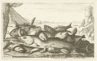 Fishing with Hermit Crab (Various Species of Fish) by Albert Flamen