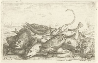 Fishing with Crab (series title: Various Fish Species) by Albert Flamen
