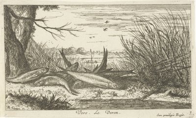 Roaches on a Riverbank by Albert Flamen